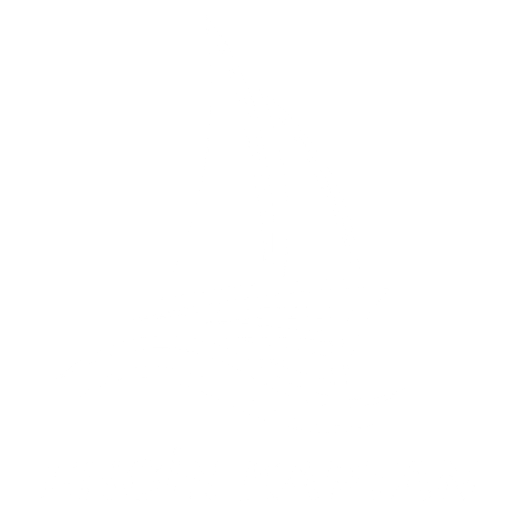 Adrasan Engin Kaptan logosu